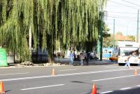 Imagine atasata: IMG_0123.jpg